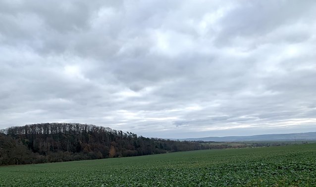 Bild: Blick auf das Kyfh&auml;usergebirge