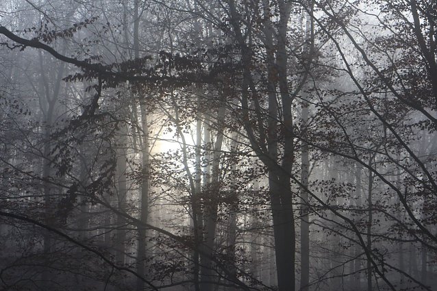 Bild: Wetterbild