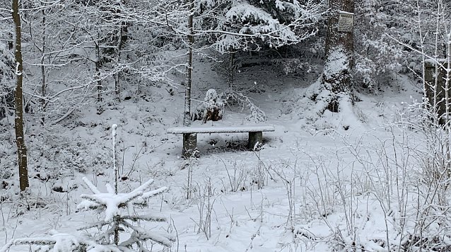 Bild: Winteridyll bei Benneckenstein
