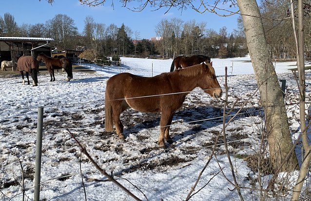 Bild: Winterstilleben an der Windl&uuml;cke