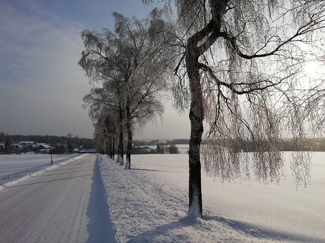 Bild: Sonnenschein und Schnee heute morgen in Sophienhof