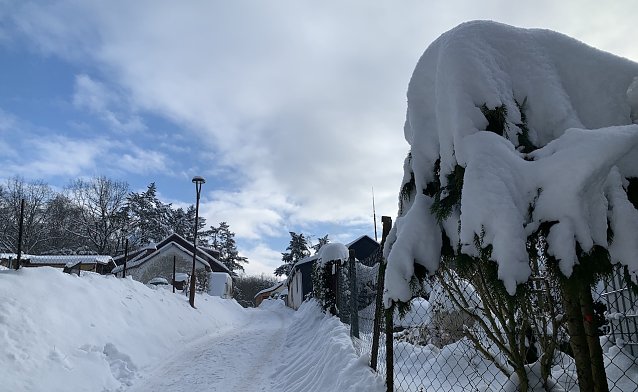 Bild: Schneelandschaft am Park Hohenrode