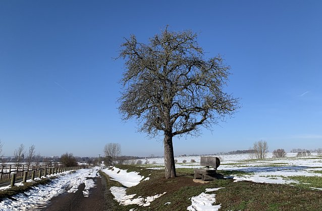 Bild: Bei Bielen