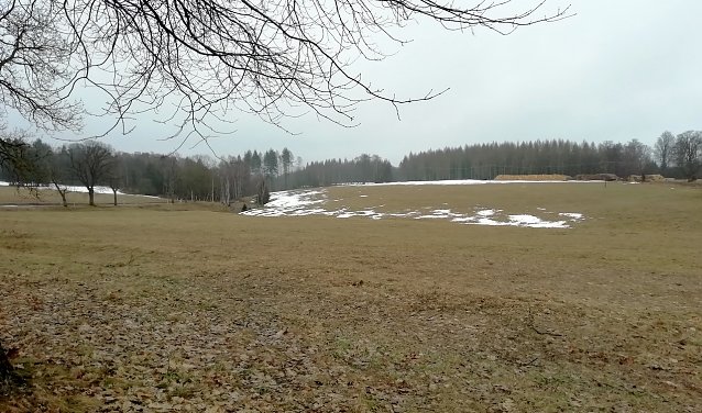 Bild: Winter ade auch in den H&ouml;henlagen des Harzes