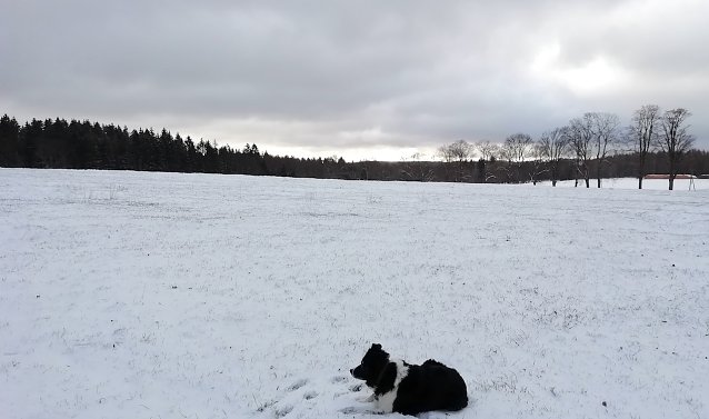 Bild: Sophienhof heute morgen bei -3 Grad und 2 Zentimeter Neuschnee