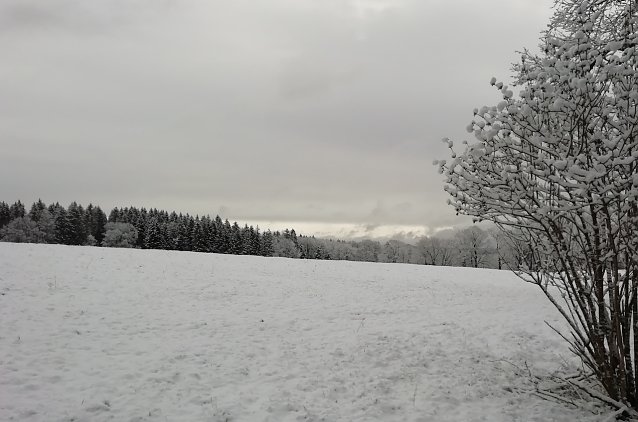 Bild: Unser letztes Winterbild - versprochen! Oberharzer Landschaft heute morgen