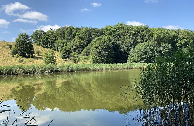 Bild: Hirschenteich bei Nordhausen-Salza