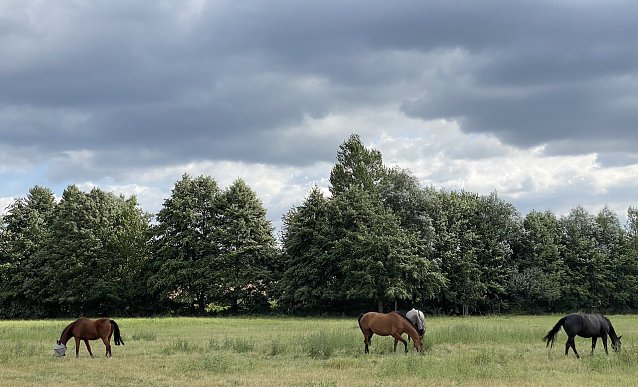 Bild: In der Windl&uuml;cke