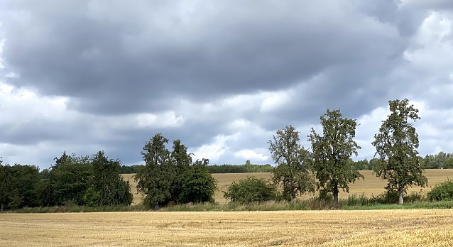 Bild: Das regnerische Wetter endet morgen