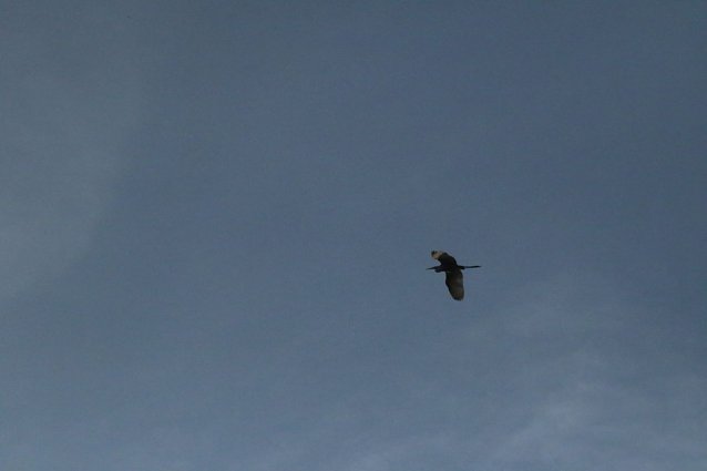 Bild: Wetterbild