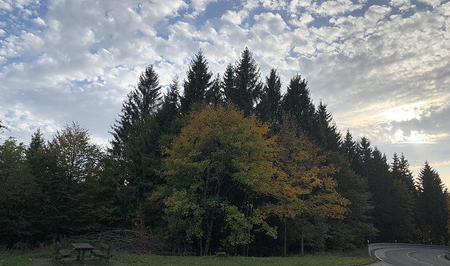 Bild: Im Ostharz