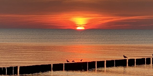 Bild: Sonnenuntergang in Wustrow/Fischland