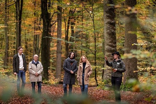 Bild: Waldf&uuml;hrung im FriedWald
