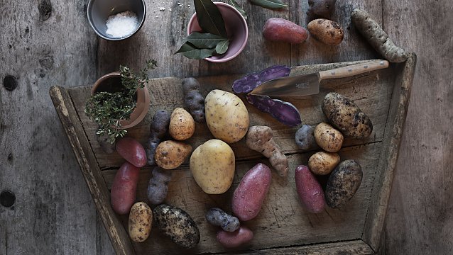 Bild: Kartoffeln stecken voller gesunder Inhaltsstoffe, die auf nat&uuml;rliche Weise k&ouml;rperliche Beschwerden lindern k&ouml;nnen