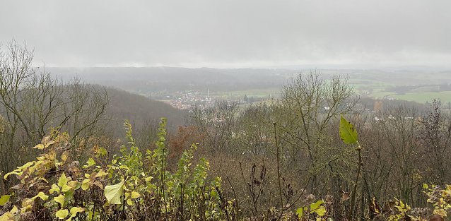 Bild: Tristes Novemberwetter wird erwartet