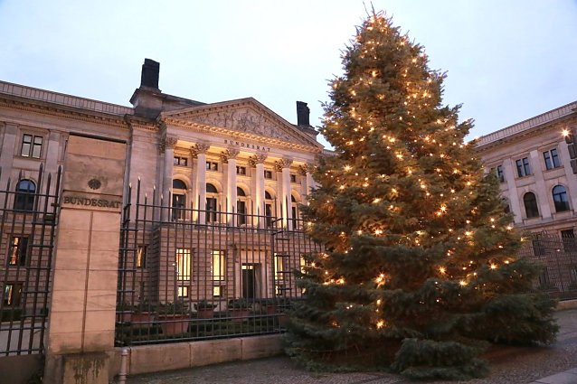 Bild: Der 12 Meter hohe Weihnachtsbaum vor dem Berliner Bundesratsgeb&auml;ude stammt aus Kahla (Th&uuml;ringer Forstamt Jena-Holzland). Traditionell liefert das ratsvorsitzende Bundesland den Schmuckbaum, 2021/22 ist dies Th&uuml;ringen