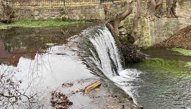 Bild: An der Salza in Bad Langensalza