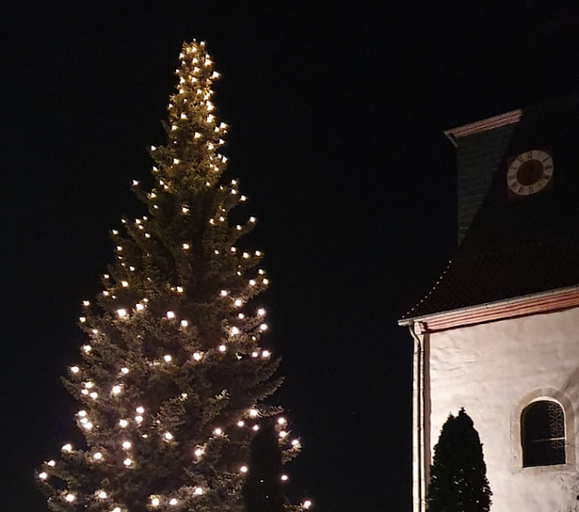 Bild: Erleuchteter Weihnachtsbaum bei Ferna