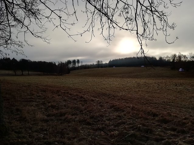 Bild: Ein wenig Nebel, ein wenig Sonne, Windstill und Null Grad - so pr&auml;sentierte sich heute morgen der Harz bei Sophienhof