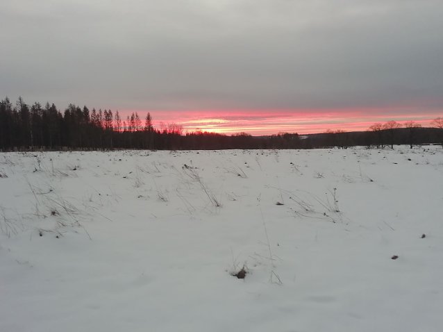 Bild: Frostig frisch konnte man heute morgen den Sonnenaufgang in Sophienhof bewundern