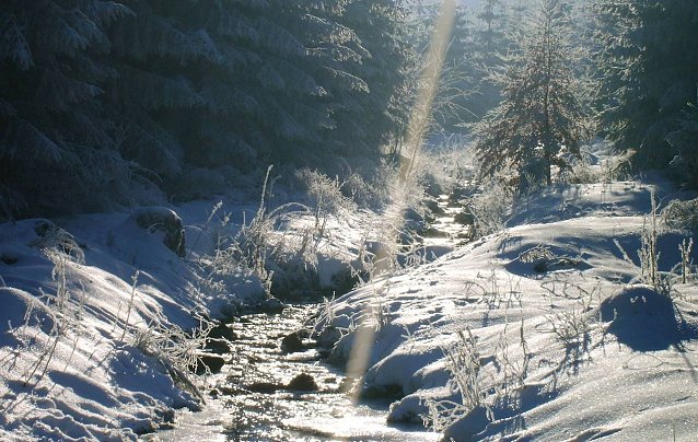 Bild: Noch sind gro&szlig;e Wassermengen im Th&uuml;ringer Wald als Schnee gebunden. Beginnt die Schneeschmelze, dann kann Waldb&auml;umen gerade in den unteren Lagen das Wasser bis zum Hals stehen  