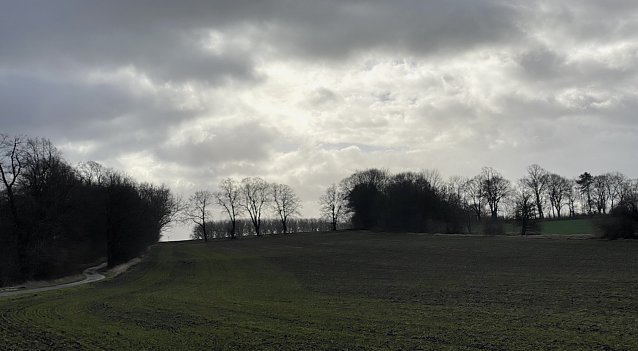 Bild: Das Schmuddelwetter bleibt uns erhalten