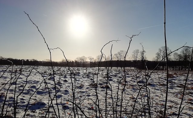 Bild: Minus 6 Grad und 1 Zentimeter Neuschnee heute im Harz