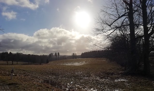 Bild: Sonniger und schneefreier Harz heute bei +2 Grad