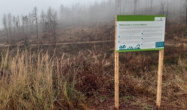 Bild: Die Anpassung der W&auml;lder an den Klimawandel ist in Th&uuml;ringen in vollem Gange