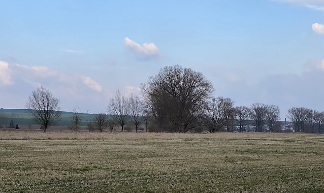 Bild: Fr&uuml;hlingshafte Tage, aber kalte N&auml;chte bleiben uns erhalten