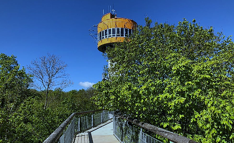Bild: Der Baumkronenpfad im UNESCO-Weltnaturerbe Nationalpark Hainich startet in die Saison