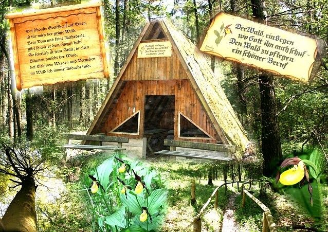 Bild: Die "Gr&uuml;ne H&uuml;tte" im Wilhelmswald