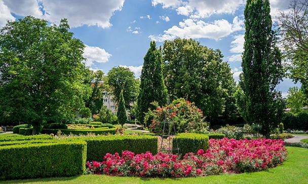 Bild: Der Rosengarten in voller Bl&uuml;te