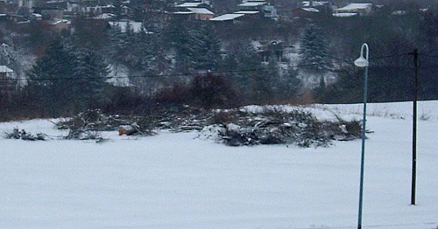 Bild: Winterwetter 3