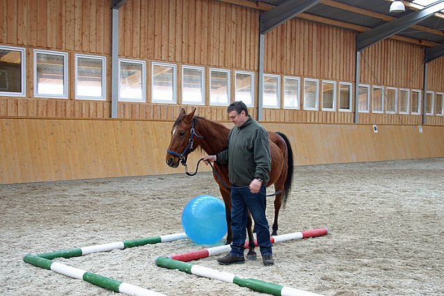 Bild: Lernen in der Reithalle