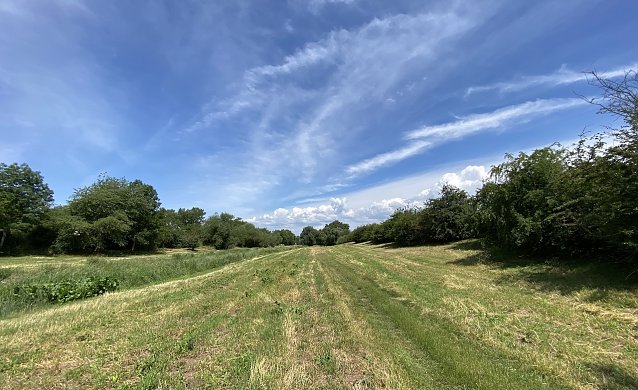 Bild: Das hei&szlig;e Sommerwetter bleibt uns erhalten