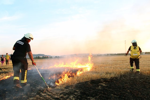 Bild: Feuerwehr probt f&uuml;r Feld- und Waldbr&auml;nde