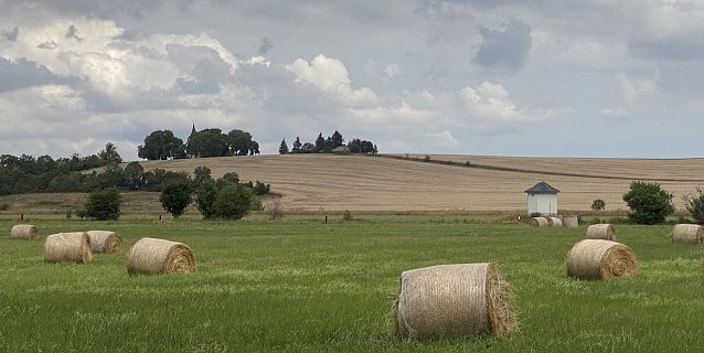 Bild: Feld bei Merxleben