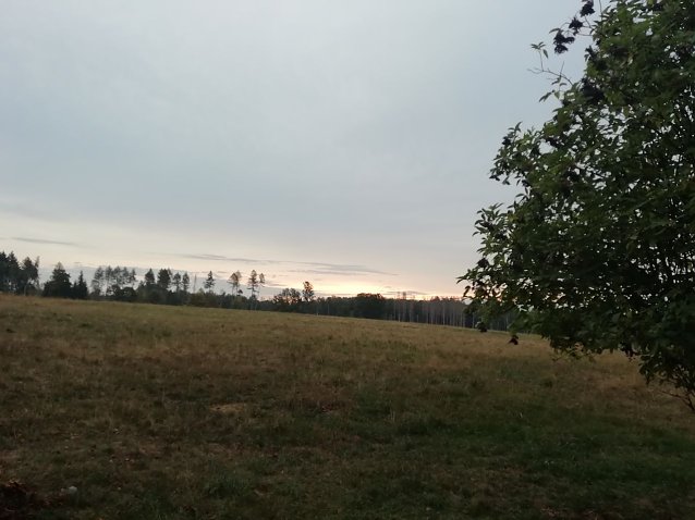 Bild: Ein wolkenverhangener Morgen begr&uuml;&szlig;te heute die Menschen im S&uuml;dharz