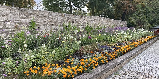 Bild: Im Arboretum Bad Langensalza