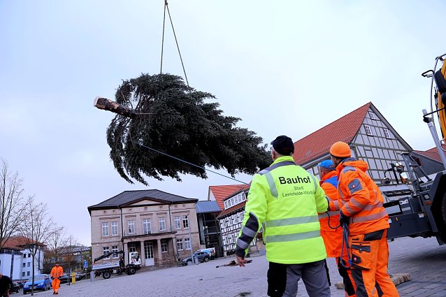 Bild: Eine rund 14 Meter hohe Tanne schm&uuml;ckte vor zwei Jahren den Friedensplatz in Worbis. Mit Hilfe eines Schwerlastkrans wurde der Baum durch den Bauhof an seinen Platz man&ouml;vriert.