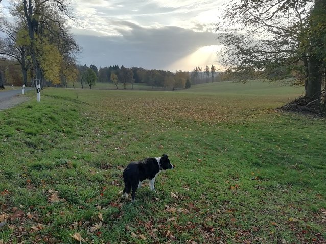 Bild: Herbst-Impressionen aus Sophienhof