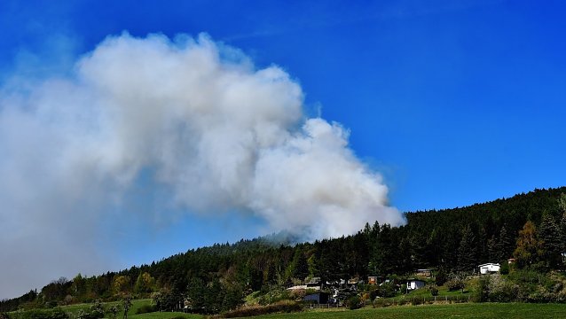 Bild: Neuer Negativrekord: Die Th&uuml;ringer Waldbrandfl&auml;che 2022 ist die h&ouml;chste seit Beginn der Waldbrandstatistik 1993