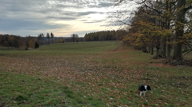 Bild: Auch in Sophienhof bleibt der Herbst weiter mild und freundlich