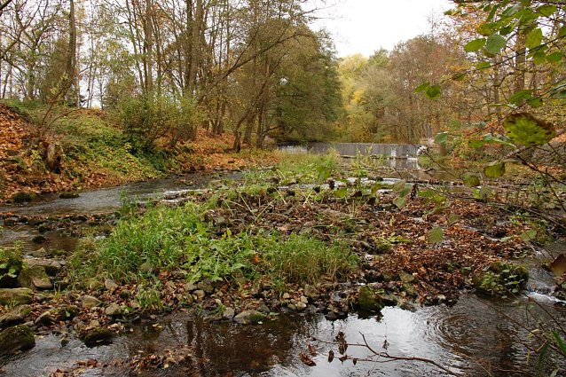 Bild: Im November sah die Zorge in Nordhausen mehr wie ein Bach und nicht wie ein Fluss aus