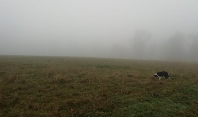 Bild: Im Harz ist heute nicht allzu viel zu sehen (hier: Sophienhof)