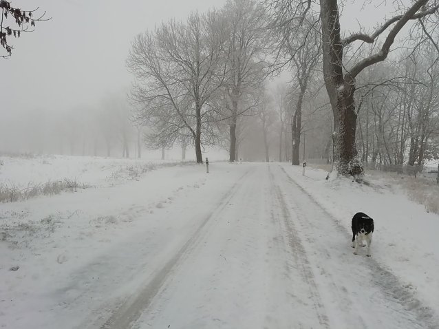 Bild: Ungem&uuml;tlich aber gut mit Schnee bedeckt pr&auml;sentierte sich heute morgen auch Sophienhof