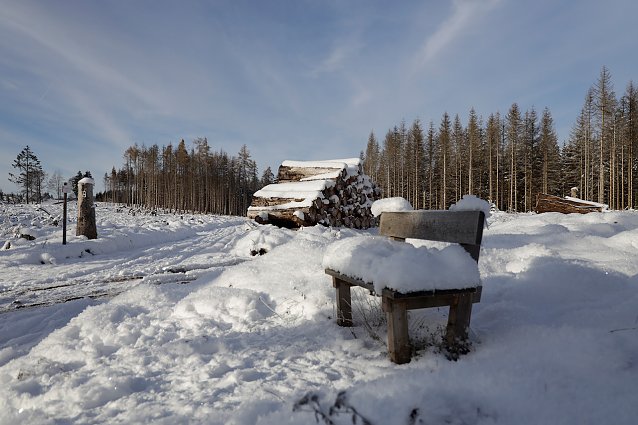 Bild: Schneelandschaft in er N&auml;he des Sophienhofs