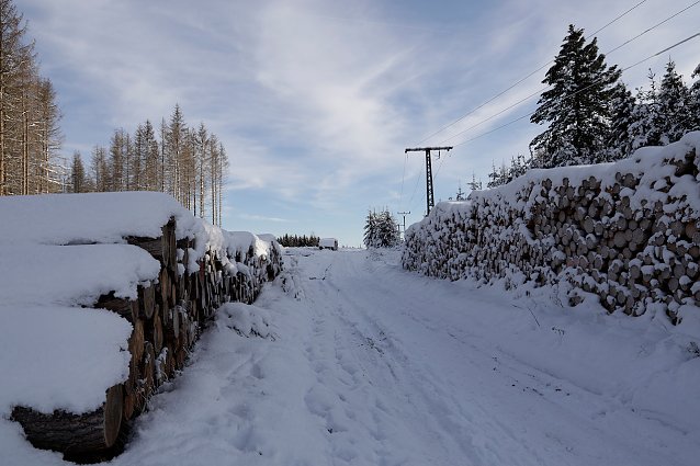 Bild: Schneelandschaft in er N&auml;he des Sophienhofs