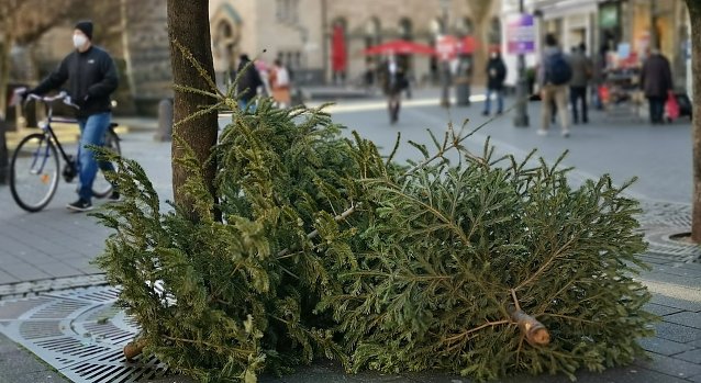 Bild: Je nach Region holen kommunale Entsorgungsbetriebe den ausgedienten Weihnachtsbaum an bestimmten Tagen ab oder sie weisen Sammelstellen aus.